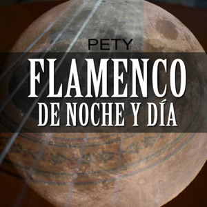 Flamenco de Noche y de Dia