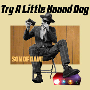 Try A Little Hound Dog