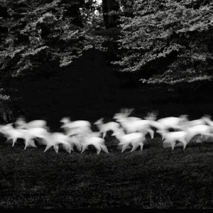 The Strength Is Unknown