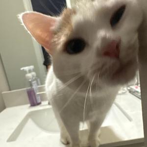 see u bleed (Explicit)