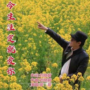 今生注定就爱你 (伴奏)