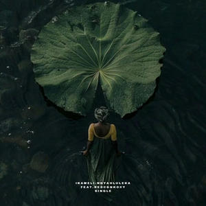 Ngyahluleka (feat. Red C & Nkocy) (Radio Edit)