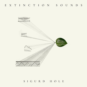 Extinction sounds