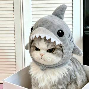 人机朋友 (如何识别朋友是人机)