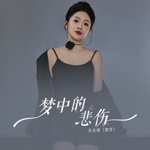 无名姐(路宝) - 梦中的悲伤