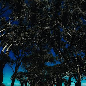 Right Where You Want Me