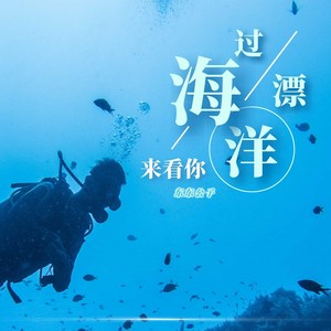 漂洋过海来看你 (Live)