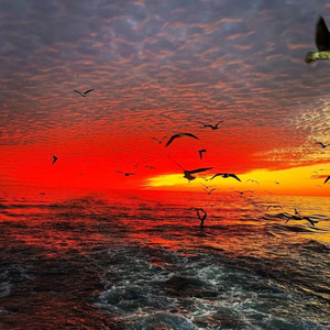 Go Girl+Luck (氛围混搭)