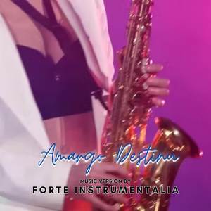 Amargo Destinu (Instrumental Cover Version)