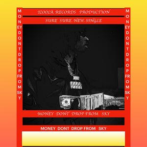 MONEY DONT DROP FROM SKY