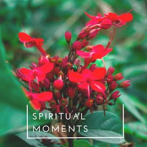 Spiritual Moments