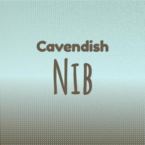 Cavendish Nib