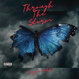 Through The Storm (Explicit)