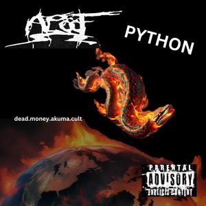 python (Explicit)