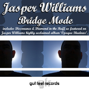 Bridge Mode