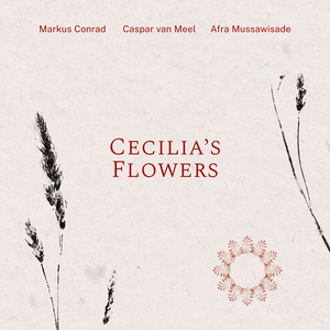 Cecilia's Flowers