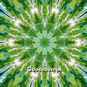 Goosebumps