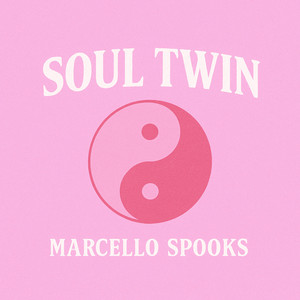 Soul Twin