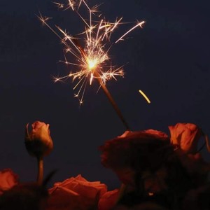 愿：岁岁欢愉 年年胜意