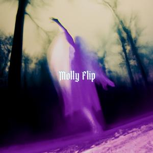 Molly Flip (Explicit)