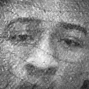 FREEBLIX (bonus) (Explicit)