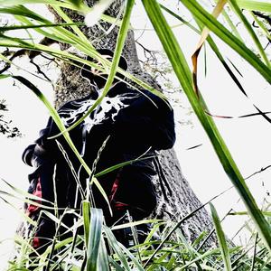 I DO / CONFINED (Explicit)