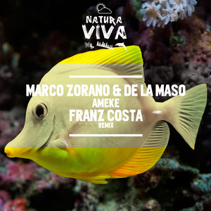 Ameke (Franz Costa Remix)