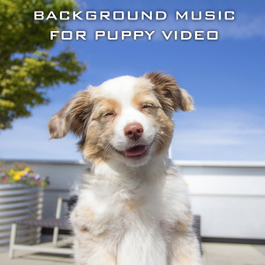 Background Music For Puppy Video