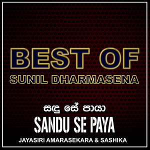 Sandu Se Paya - Single