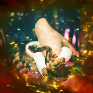 Logrouse (Original Mix)