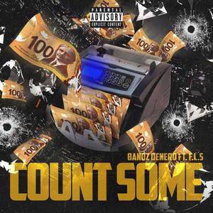 Count Some (feat. F.L.S) [Explicit]