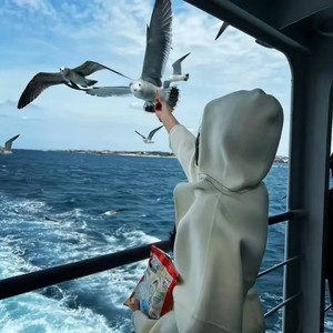 陪你去流浪 (再见容易在见难DJ)