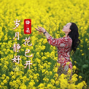 岁月静好花已开 (伴奏)封面