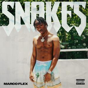 Snakes (Explicit)