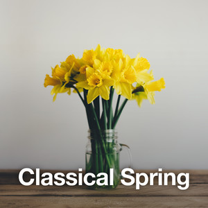 J.S. Bach - Orchestral Suite No.3 in D, BWV 1068 - 2. Air