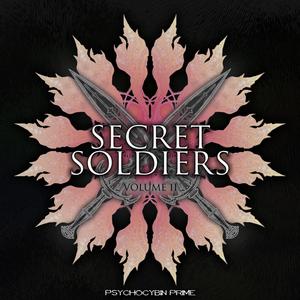 Secret Soldiers Volume II