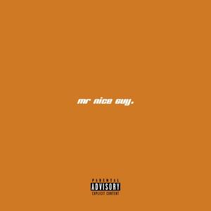 Mr.Nice Guy (Explicit)