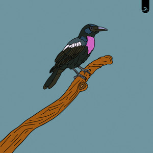 Myna