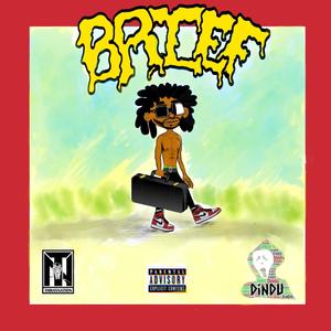 Brief (Explicit)