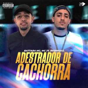 ADESTRADOR DE CACHORRA