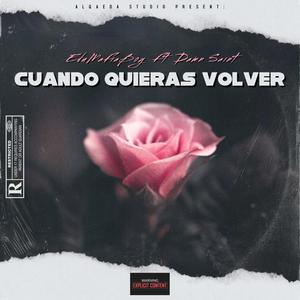 CUANDO QUIERAS VOLVER