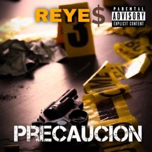 PRECAUCIÓN