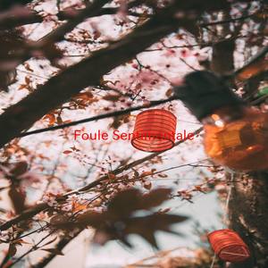 Foule Sentimentale (Instrumental version originally performed by Alain Souchon)