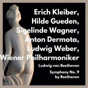 Symphony No. 9 in D Minor Op.125 Choral - I.Allegro ma non Troppo, ma un Poco Maestoso