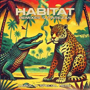 Habitat: Remixes y Rarezas (Explicit)