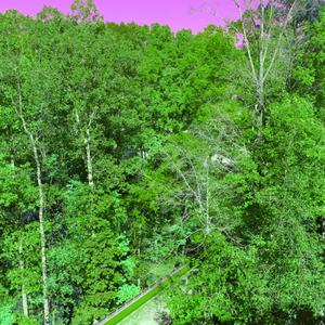 Breakin Da Bank (Explicit)