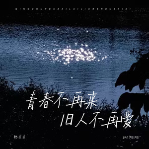 青春不再来旧人不再爱