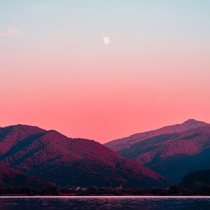 Harmony