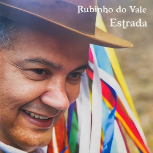 Rubinho do Vale - Roda de Viola (feat. Ivan Vilela)