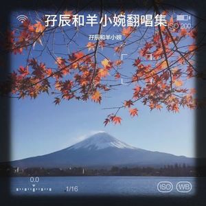 玫瑰窃贼-孖辰和羊小婉